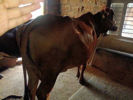 थंबनेल 3