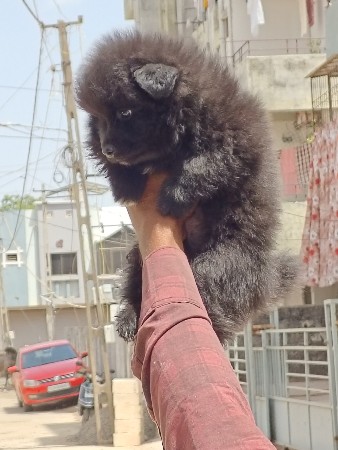 થંબનેલ 2