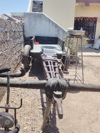 थंबनेल 3