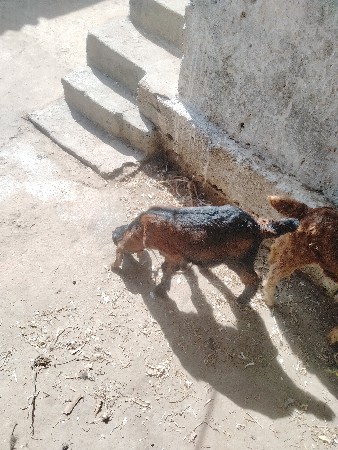 थंबनेल 2