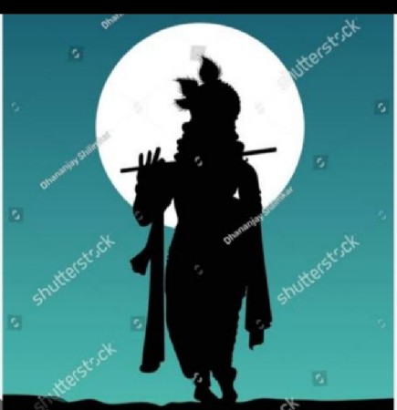 ઓરિજનલ ગીર ગાય વેસવાની સે