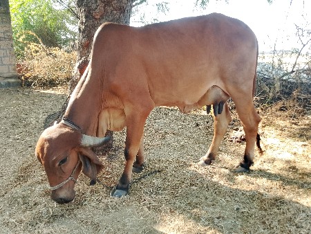 थंबनेल 2