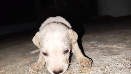 થંબનેલ 3