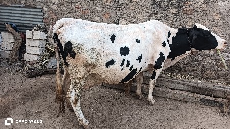 थंबनेल 3