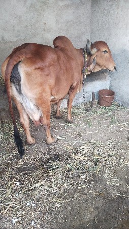 थंबनेल 2