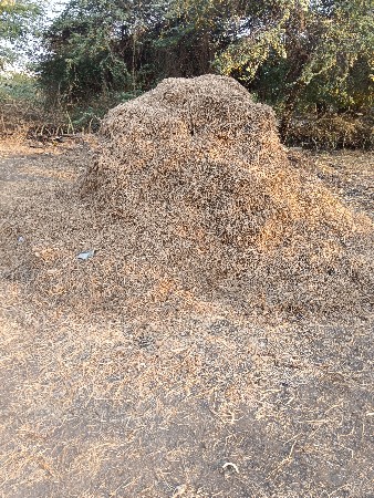 ભૂકો વેચવાનો છે