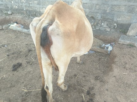 थंबनेल 2