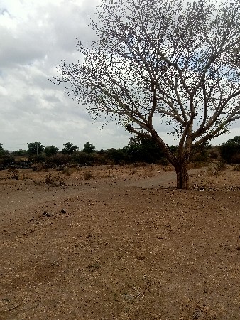 જમીન વેચવાની છે