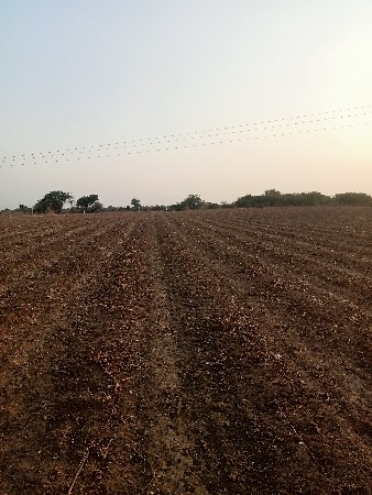 ખેતીની જમીન વેચવાની છે