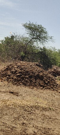 ખતર નો ધાગલો