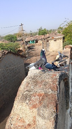 थंबनेल 3