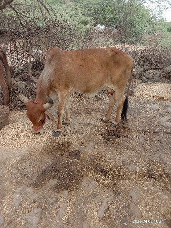 थंबनेल 2