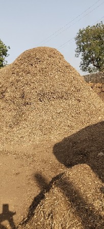 માડવિનો ભુકો વેચવાનોછે