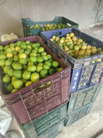 थंबनेल 3