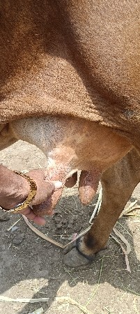 થંબનેલ 2