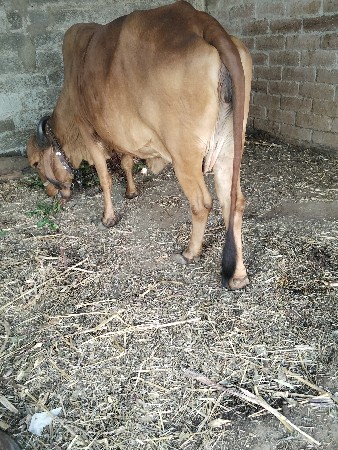 थंबनेल 2