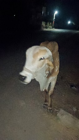 થંબનેલ 2