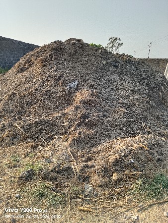 છાણ્યું ખાતર