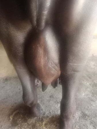 थंबनेल 2