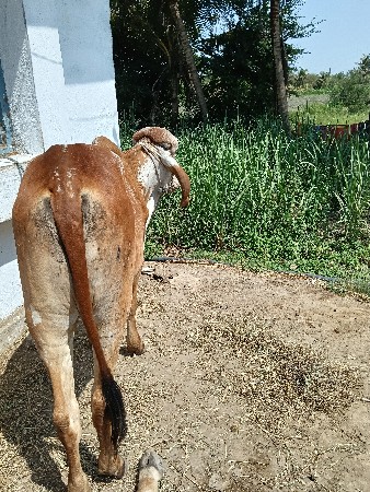 થંબનેલ 5