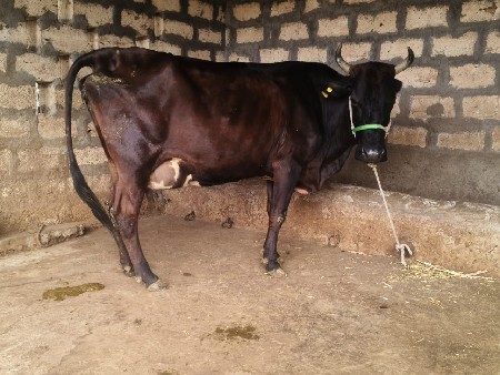 થંબનેલ 5