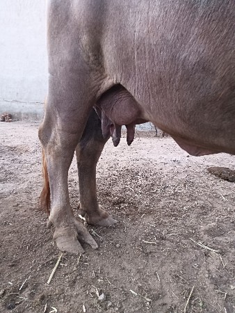 थंबनेल 2