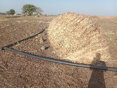 નિરણ વેચવાની છે