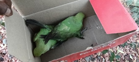 વેચવાના છે