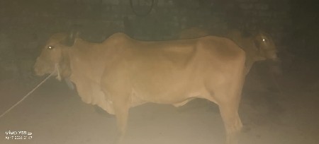 थंबनेल 3