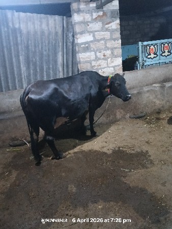 પરમાર સુભાષ સિંહ