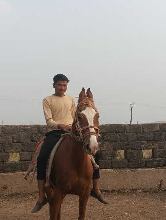 થંબનેલ 2