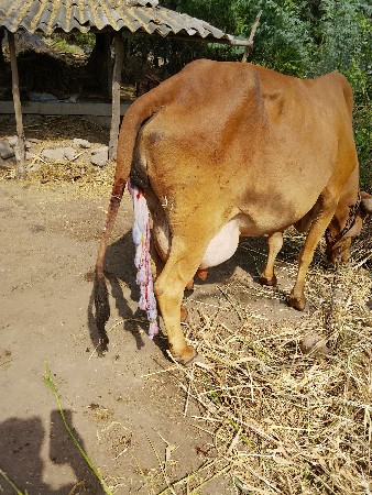 थंबनेल 6