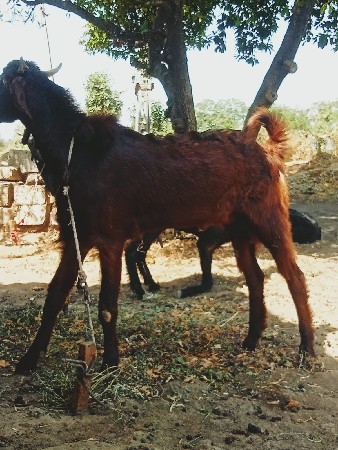 थंबनेल 3