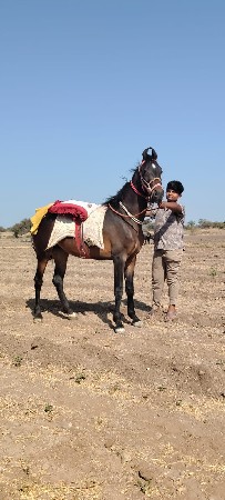 थंबनेल 2