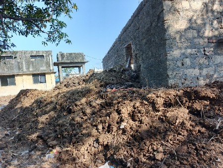 દેશી છાણીયું ખાતર