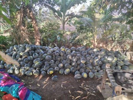 थंबनेल 3