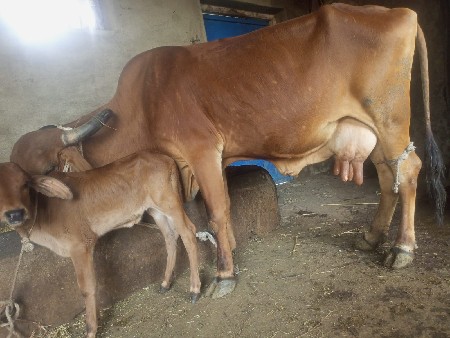 थंबनेल 2