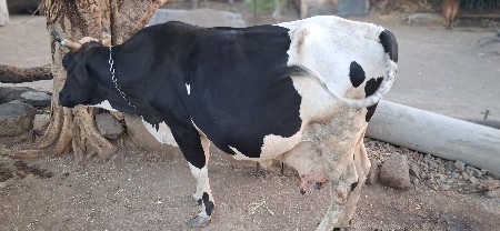 थंबनेल 2