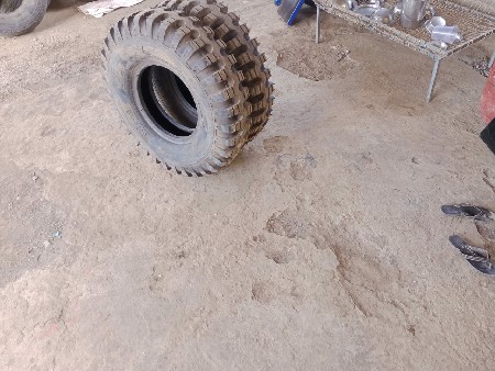 થંબનેલ 2