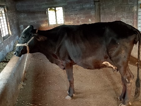 थंबनेल 2