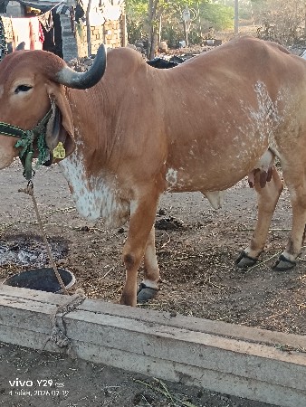 થંબનેલ 2