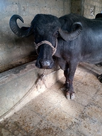 ૭૦૪૬૦૪૪૬૭૮