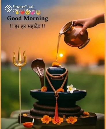 બે ભેસુ વેચવાની છે