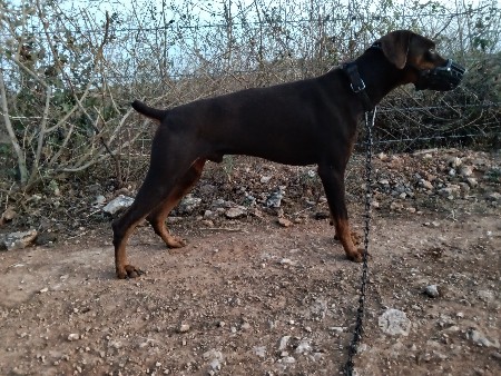 મીટીંગ માટે છે