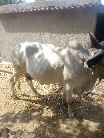 थंबनेल 2