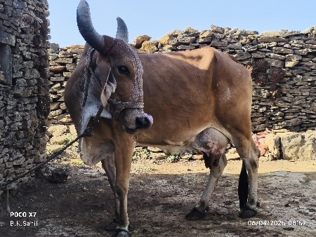 थंबनेल 2