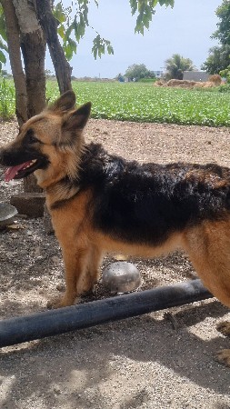 થંબનેલ 3