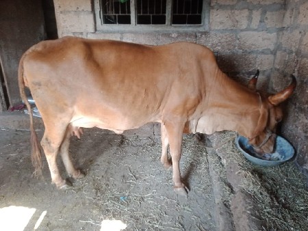 थंबनेल 3