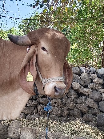 थंबनेल 2