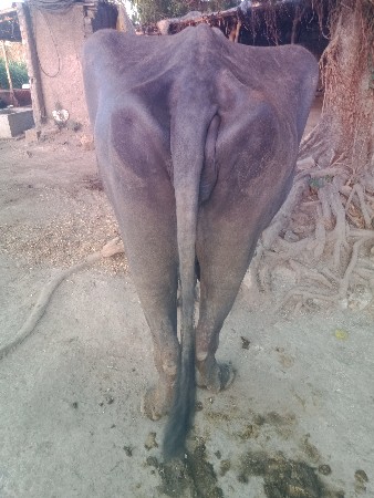 थंबनेल 2